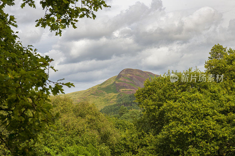 从洛蒙德湖的Inchcailloch无人岛俯瞰Conic Hill，就在英国苏格兰巴尔马哈海岸附近